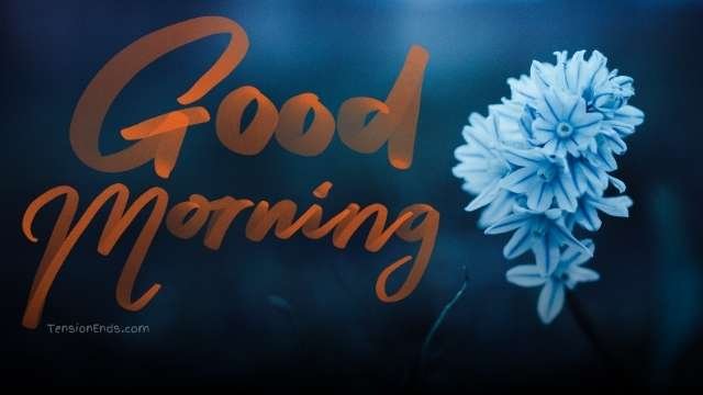 good morning images