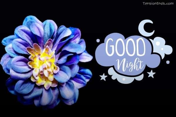 good night images and quotes
