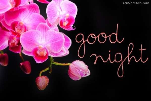 have a good night images