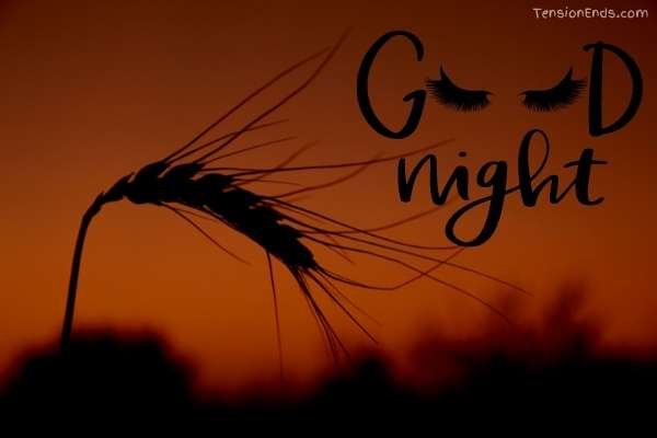 beautiful good night images download