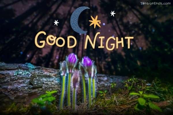 good night images