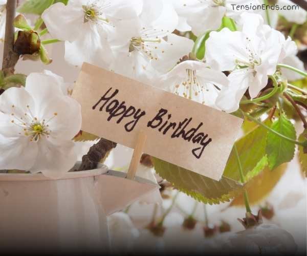 happy birthday pics with wishes